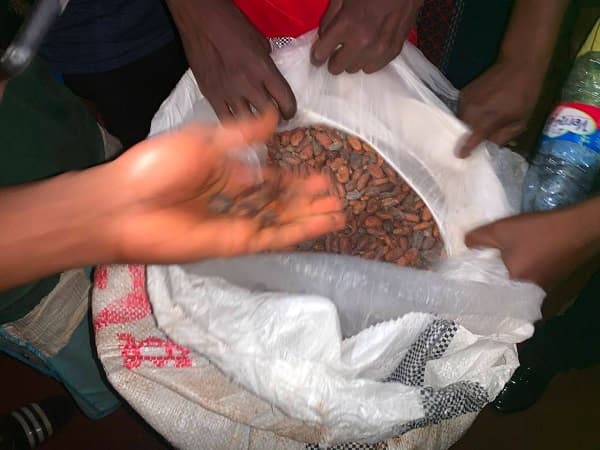 Police arrest four over 118 bags of alleged smuggled cocoa bound for Togo