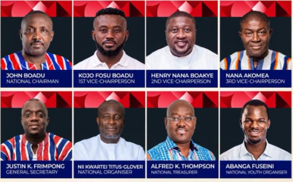 FULL LIST: See all winners of the 2026 NPP national elections
