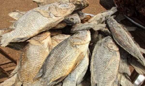 Cardiologist warns Ghanaians against excessive 'koobi', 'momoni' consumption