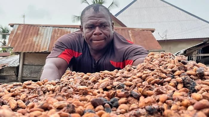 Government cannot fight galamsey with abysmal cocoa price – Chief