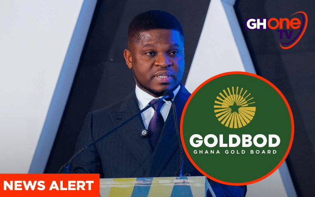 IMF did not say GoldBod caused BoG’s $1.7bn loss – Sammy Gyamfi slams Afenyo-Markin