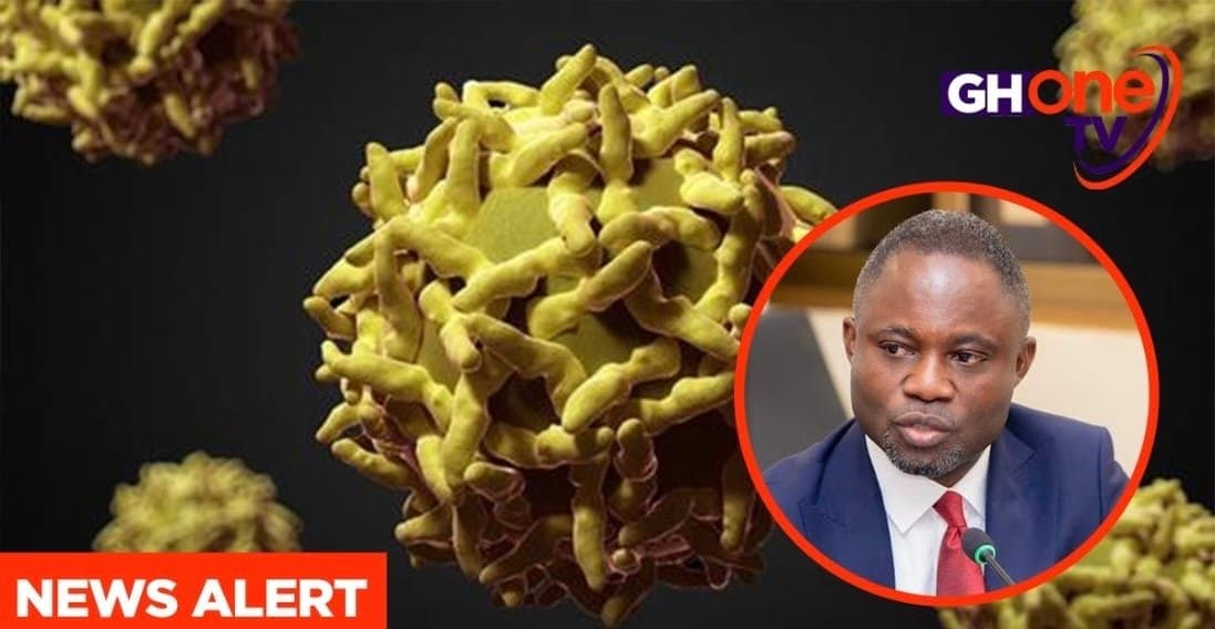 Yellow fever: Ghana records 450 suspected cases from June to September – Health Minister