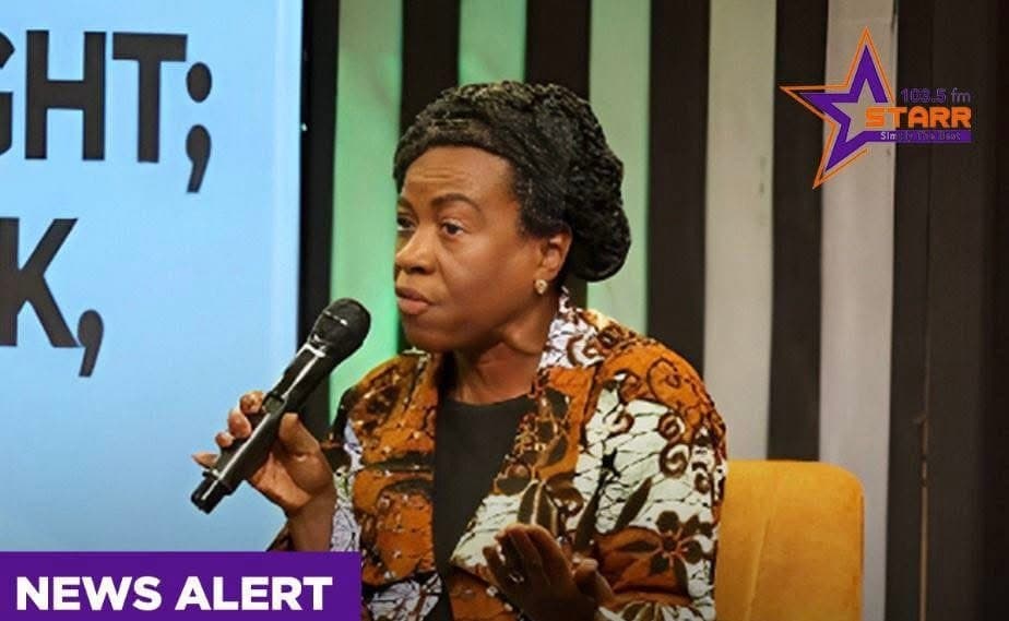 Galamsey: ‘We’re concerned about criminals’ livelihoods, not farmers’ – Awula Serwah