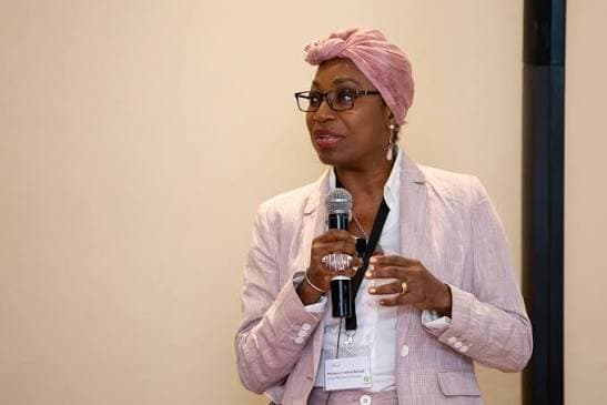 Africa must shape its own green transition agenda – Prof Denton