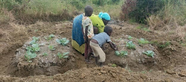Permagardens take root after three dry years in coastal Kenya’s Mbuguni region