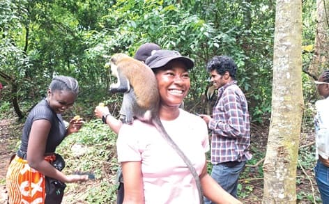 Whispers from Tafi-Atome Monkey Sanctuary - Where loyalty is tied to the banana