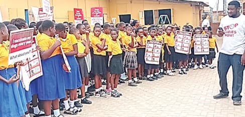 World Rabies Day: Basic Schoolchildren educated on rabies