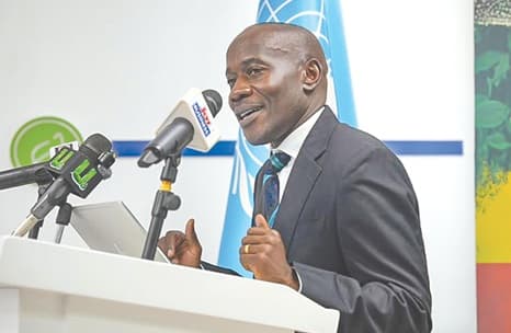 FAO calls for investment in technology to transform agric sector