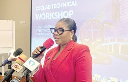 We must avoid return to grey list — Deputy Governor