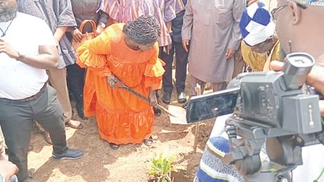 World Shea Expo: Vice-President plants first hybrid shea tree in Tamale
