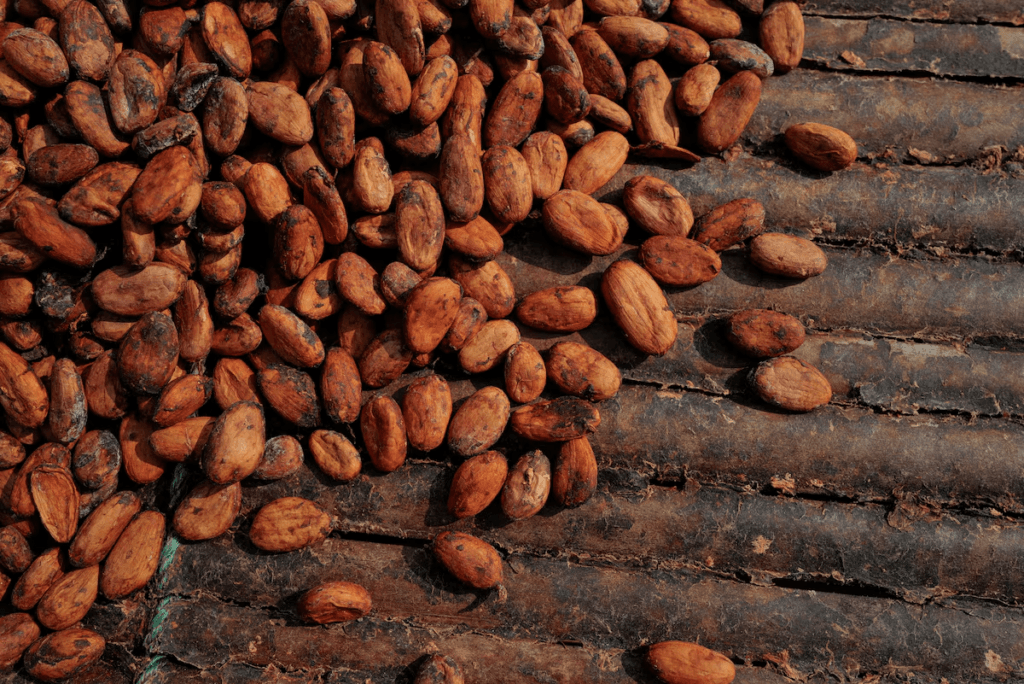 IERPP questions GH¢2,500 Cocoa price despite reported US$3.86bn export earnings, GH¢5.11bn COCOBOD revenue