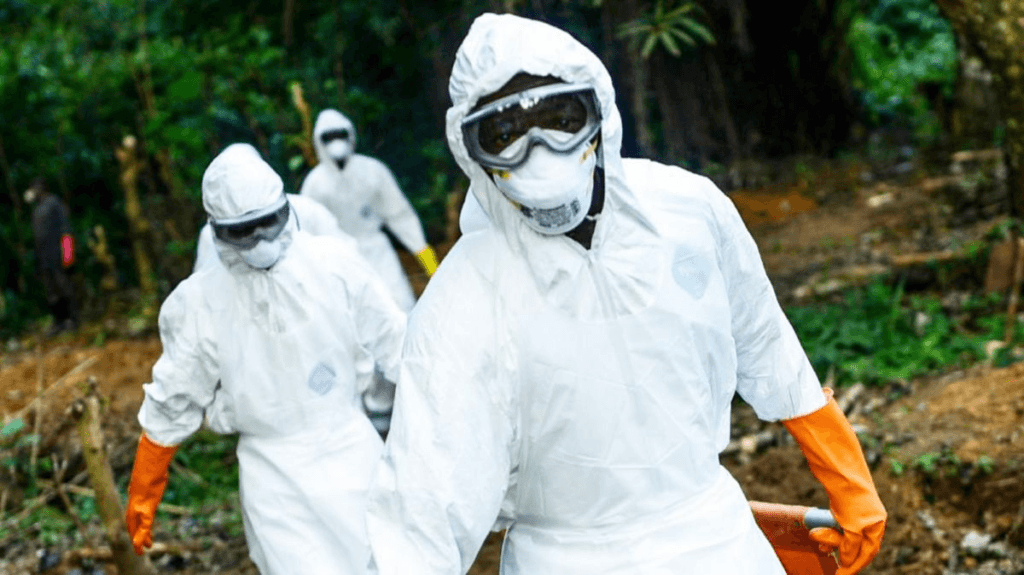 New transmission from animals likely caused Congo-Uganda Ebola outbreak, study says