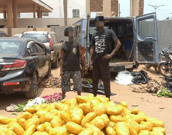Police arrest two, seize 692 parcels of suspected Indian hemp at Dawhenya