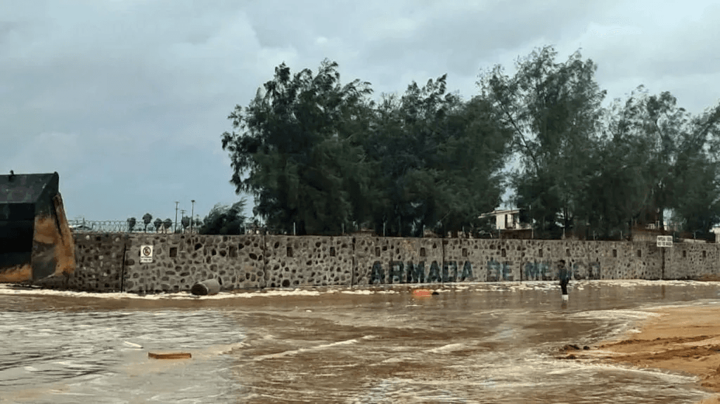 Hurricane Polo makes landfall on Mexico’s Pacific coast