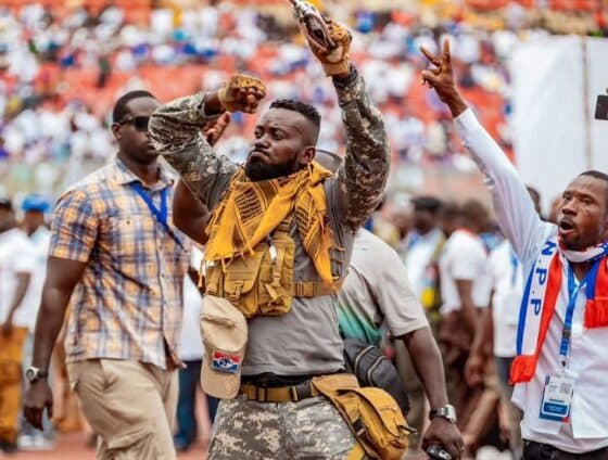 NPP delegates wanted youthful energy with Kojo Bamba’s election – Political scientist