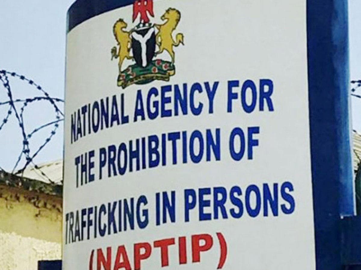 NAPTIP rescues 3,000 victims, says human trafficking migrating to digital space