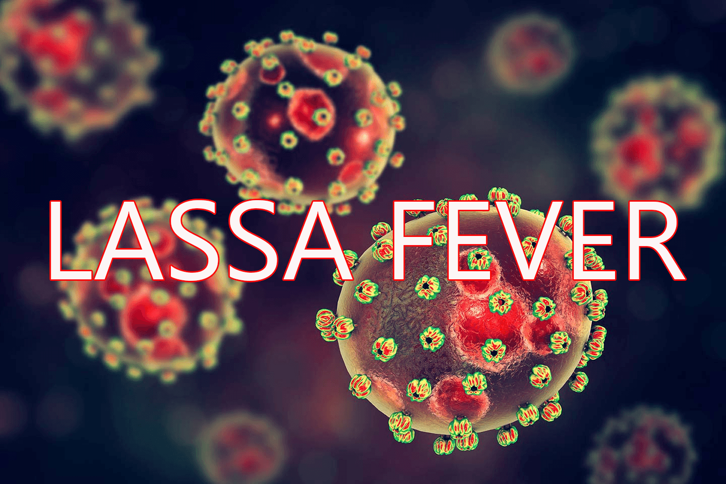Lassa fever deaths hit 252 as Nigeria records 14 new cases