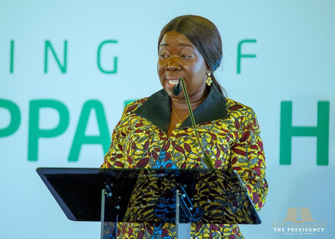 Northshore factory signals shift of industrialisation to northern Ghana – Trade Minister