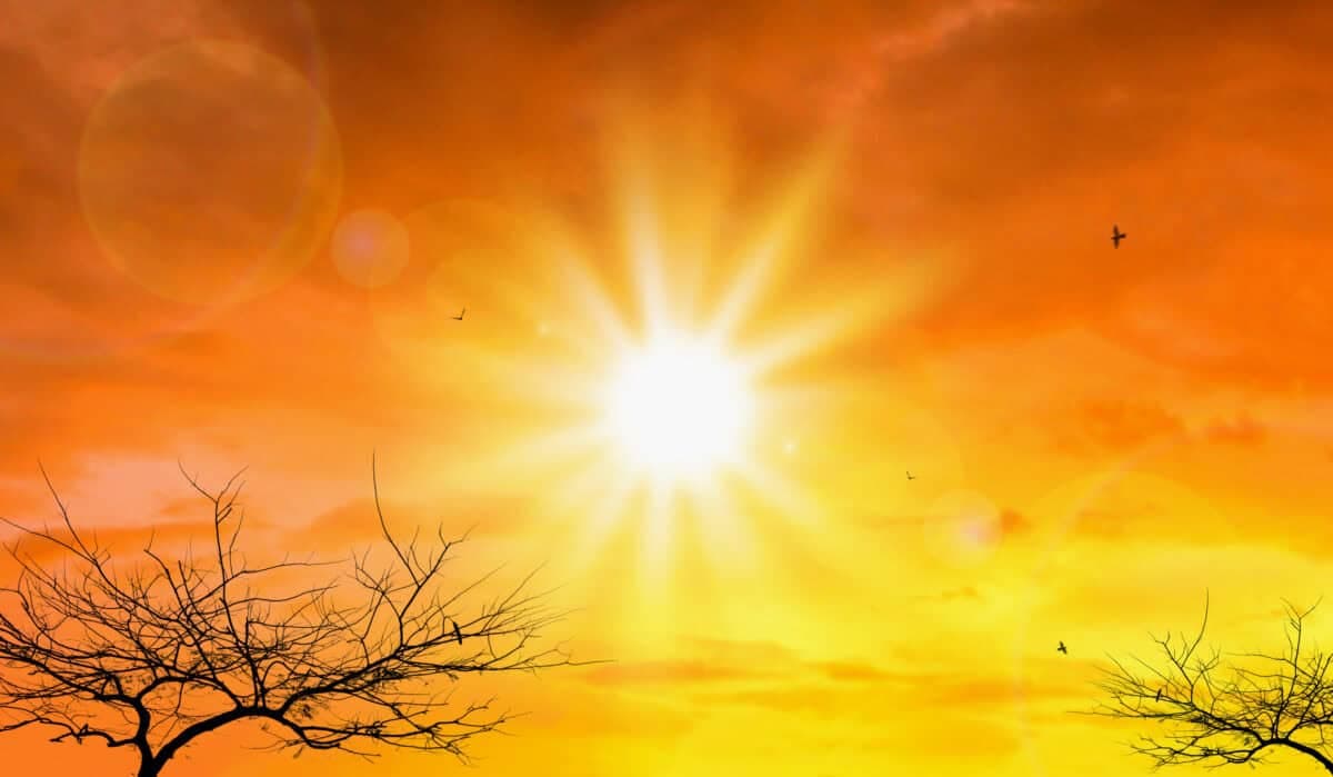 Saws warns of hotter and drier spring/summer amid strongest El Niño in living memory