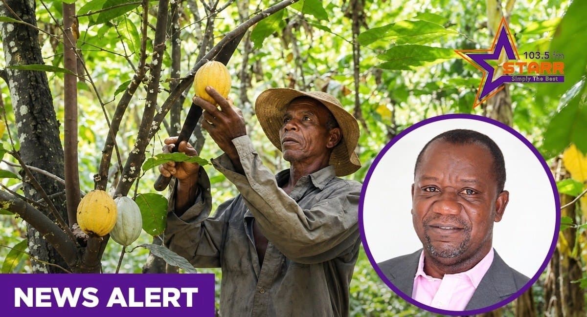 Cocoa pricing: Farmer share must reflect global market value – George Oduro