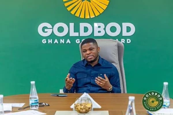 GoldBod must bear the cost – Small-scale miners back higher operational costs to protect jobs