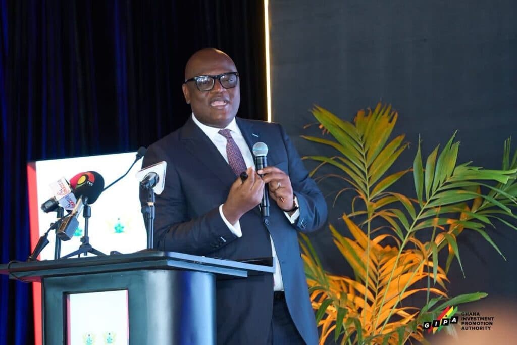 GIPA CEO calls for stronger coordination to provide a clearer picture of investment activity