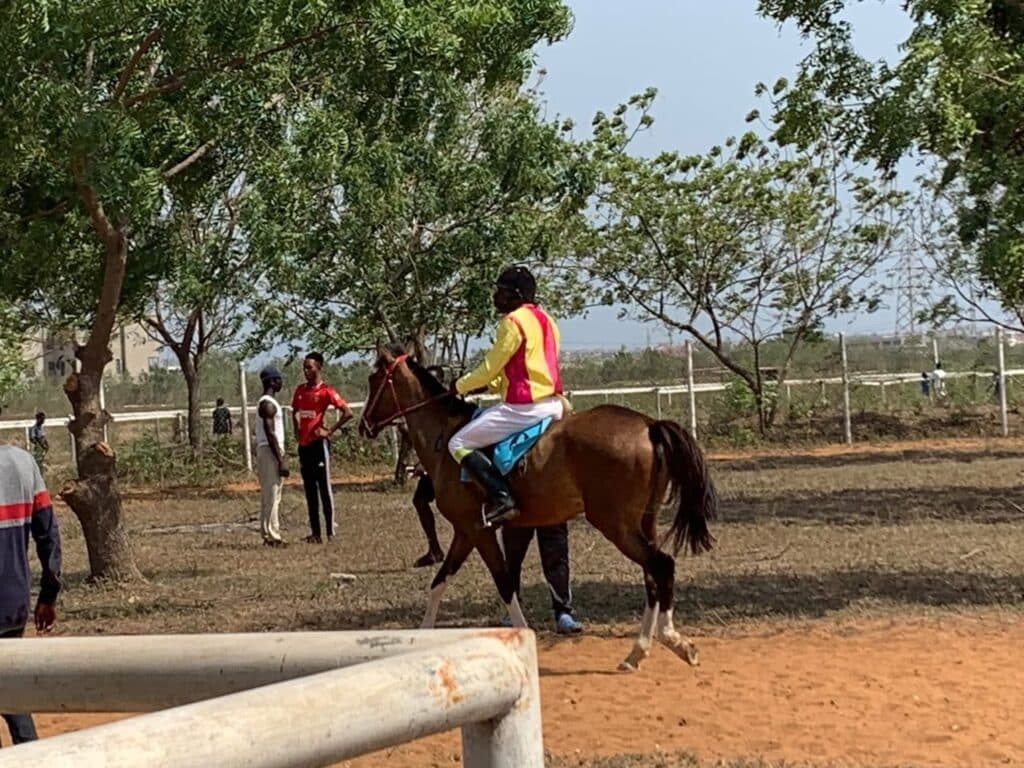 Accra’s only public horse racing course destroyed at Borteyman