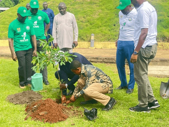 Ghanaians urged to intensify tree planting and forest protection to combat climate change